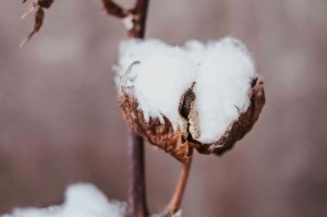 如何制定有效的交易策略？这种策略存在哪些挑战？