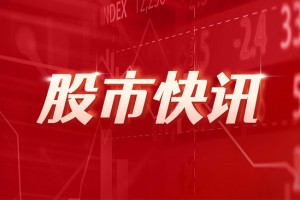 宁波华翔：2024年度净利润约9.09亿元