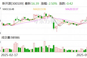 新开源：公司目前暂无资产重组计划