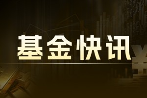 国投资本：机构业务增长，排名上升 2024