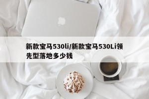 新款宝马530li/新款宝马530Li领先型落地多少钱