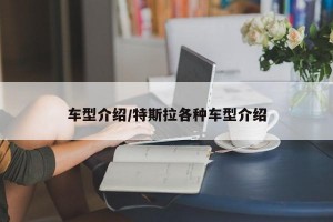 车型介绍/特斯拉各种车型介绍