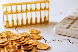 如何掌握外汇黄金的投资要点？这些要点在实际操作中如何应用？