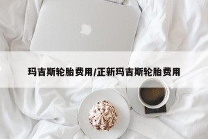 玛吉斯轮胎费用/正新玛吉斯轮胎费用