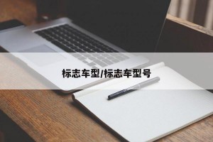 标志车型/标志车型号