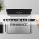 电大大学照片(电大学历图片)