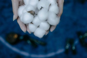 如何分析期权多头的盈亏分布？盈亏分布对投资策略的调整有何指导意义？