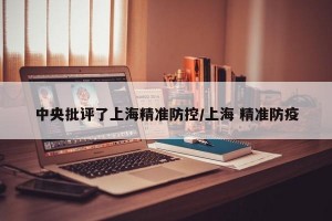 中央批评了上海精准防控/上海 精准防疫