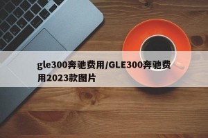 gle300奔驰费用/GLE300奔驰费用2023款图片
