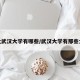 湖北武汉大学有哪些/武汉大学有那些大学