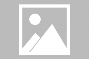 英印签署贸易协定降低关税 以应对美国贸易保护主义冲击